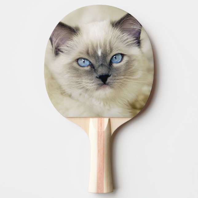 Raquete De Tênis De Mesa Gatinho Ragdoll (Frente)