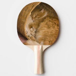 Raquete De Tênis De Mesa Gato laranja dormindo na cesta