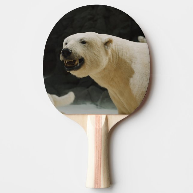 Raquete De Tênis De Mesa Grin do Urso Polar (Frente)