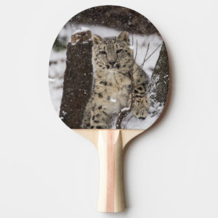 Raquete De Tênis De Mesa Leopardo de neve Cub