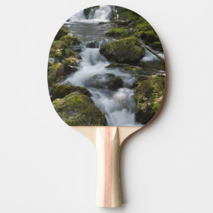 Raquete De Tênis De Mesa Nova Brunswick, Canadá. Dickson Falls em Fundy