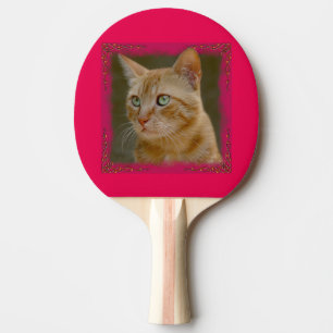 Raquete De Tênis De Mesa Pá de Pong do sibilo do gato do gengibre