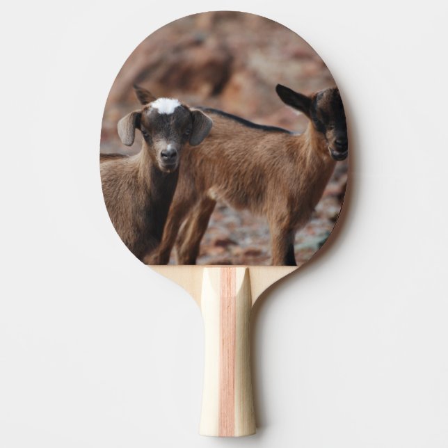 Raquete De Tênis De Mesa Pares de cabras (Frente)
