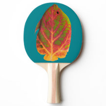 Peixes tropicais 1 da folha de Aspen