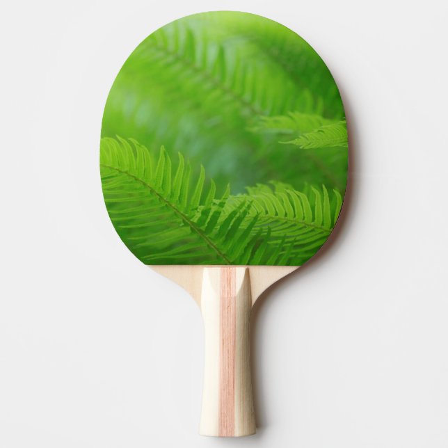 Raquete De Tênis De Mesa Planta samambaia-espada em close-up (Frente)