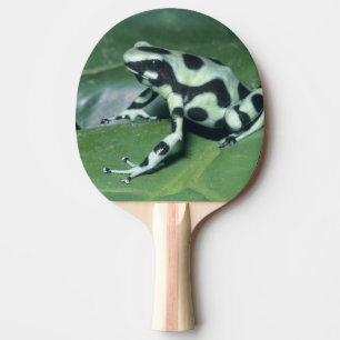 Raquete De Tênis De Mesa Rã venenosa, (Dendrobates auratus) Cahuita
