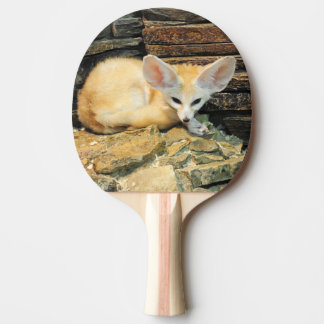 Raquete De Tênis De Mesa Raposa bonito do fennec