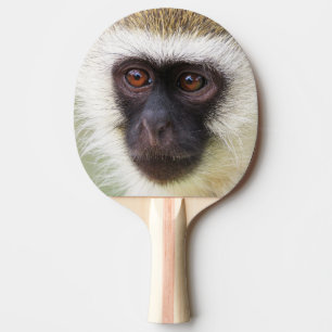 Raquete De Tênis De Mesa Retrato bonito do macaco