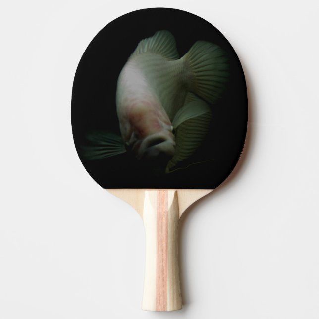 Raquete De Tênis De Mesa Retrato de peixe (Frente)
