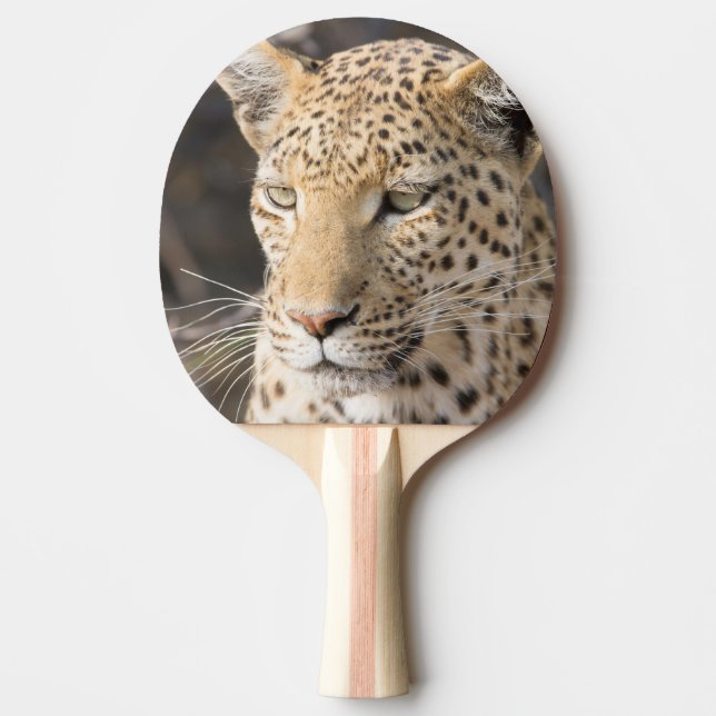 Raquete De Tênis De Mesa Retrato leopardo (Frente)