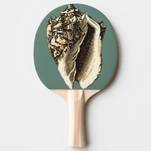 Raquete De Tênis De Mesa Shell de Conch Teal