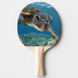 Raquete De Tênis De Mesa Tartaruga de mar verde havaiana