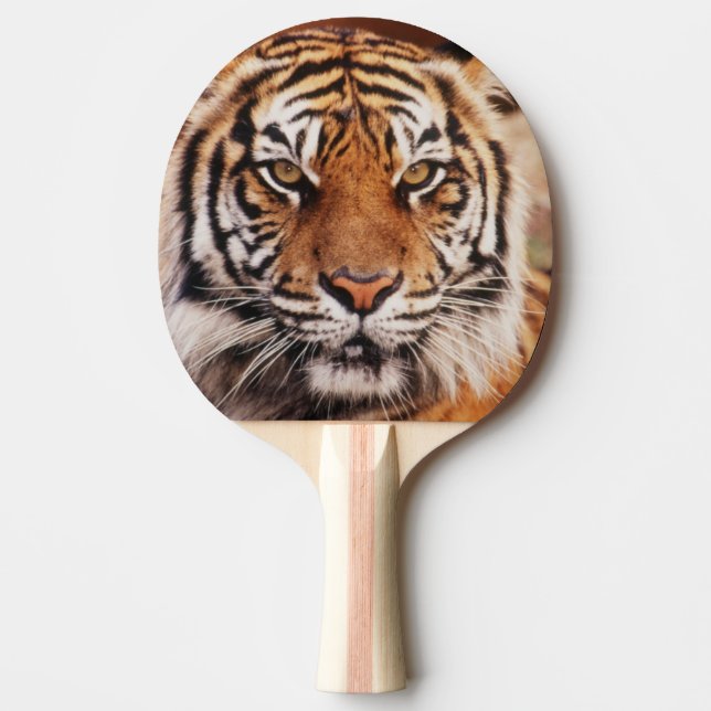 Raquete De Tênis De Mesa Tigre-de-sumatra (Frente)