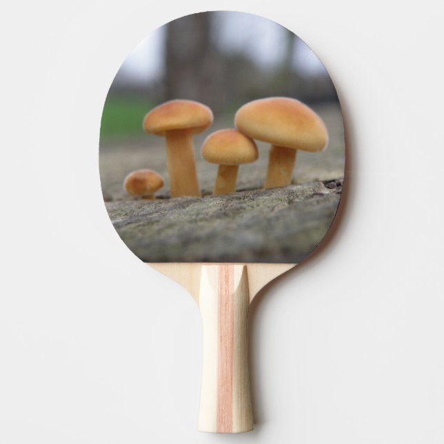 Raquete De Tênis De Mesa Toadstools Macro Ping Pong Paddle (Frente)