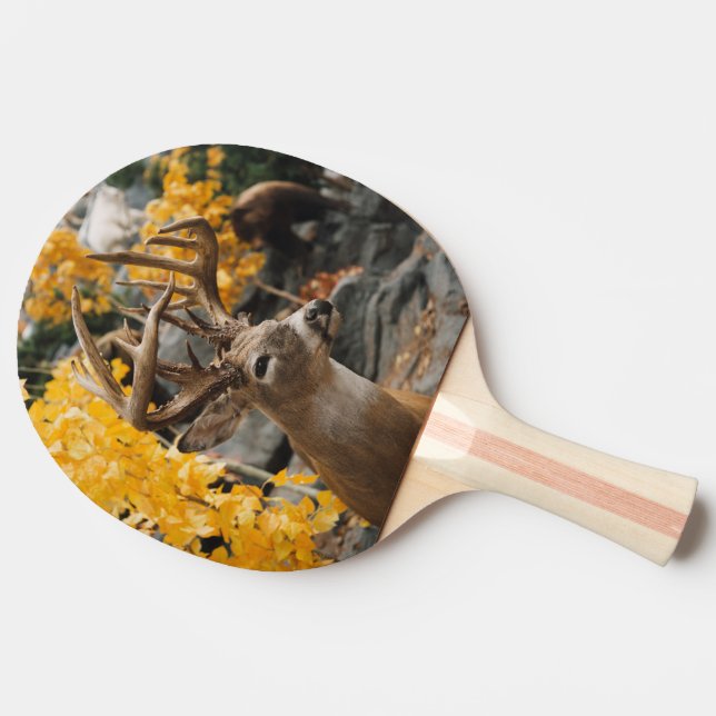Raquete De Tênis De Mesa Trophy Deer (Lateral)
