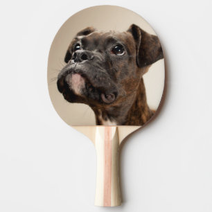 Raquete De Tênis De Mesa Um filhote de cachorro rajado do pugilista que