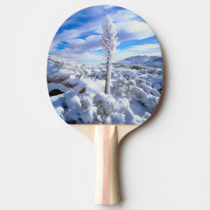 Raquete De Tênis De Mesa Um yucca coberto de neve