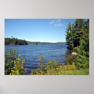 Raquette Lank no impressão 08 229 de Adirondack