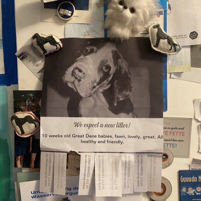 Rasar Off Flyer Puppy vendendo verde vermelho (Criador carregado)