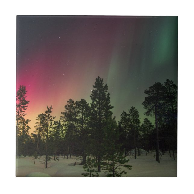 Rasta Borealis (Frente)