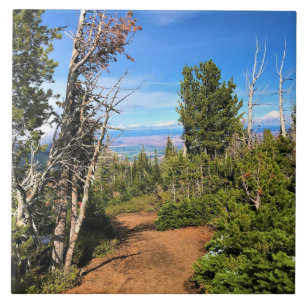 Rastreio no Monte Howard, OU