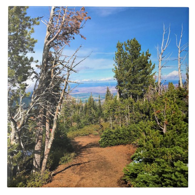 Rastreio no Monte Howard, OU (Frente)