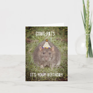 Rat Happy Birthday - Cartão divertido