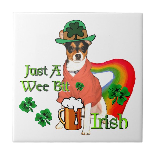 Rat Terrier St Patricks (Frente)