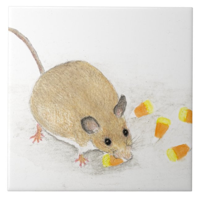 Rato com Candy Corns (Frente)