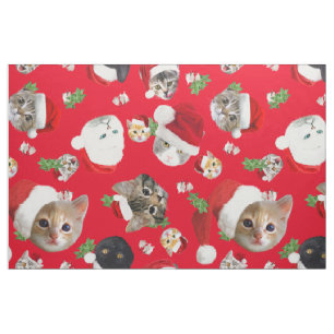 Rato de gato engraçado e tecido de natal