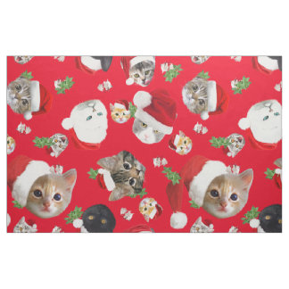 Rato de gato engraçado e tecido de natal