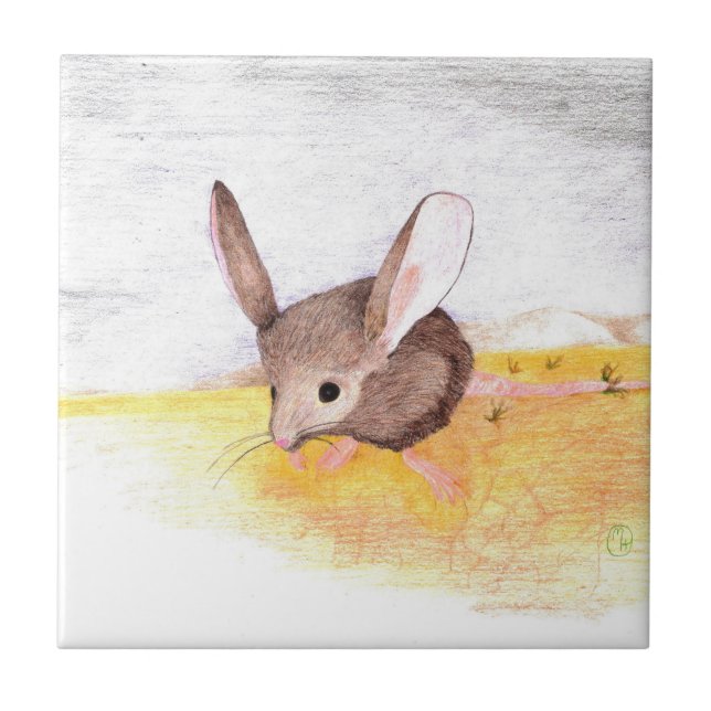 Rato do Deserto (Frente)