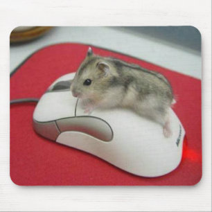 Rato em um rato Mousepad