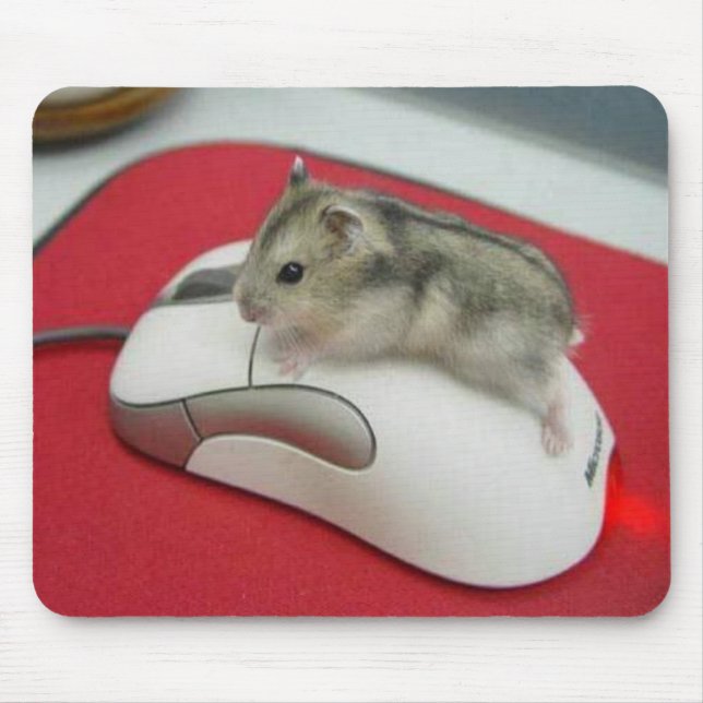 Rato em um rato Mousepad (Frente)