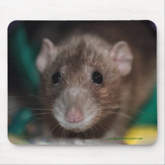 Rato extravagante Mousepad de Dumbo