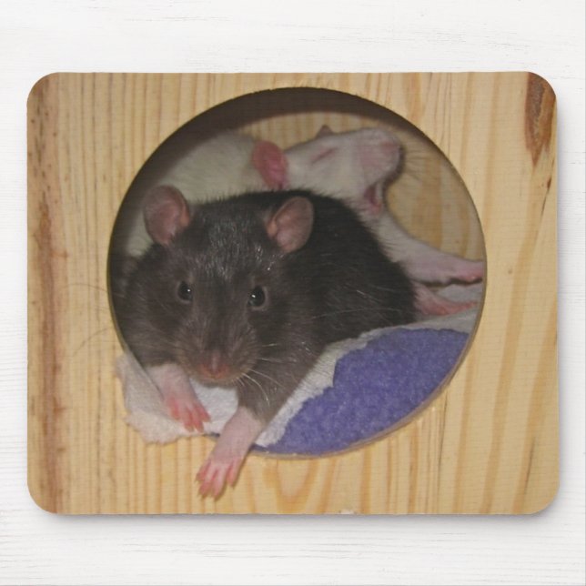 Rato Mousepad (Frente)