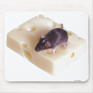 Rato Mousepad do queijo suíço