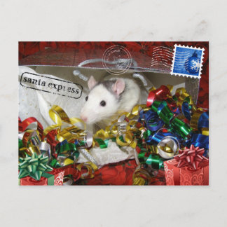 Rato num cartão postal