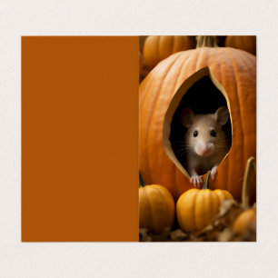 Rato Pumpkin