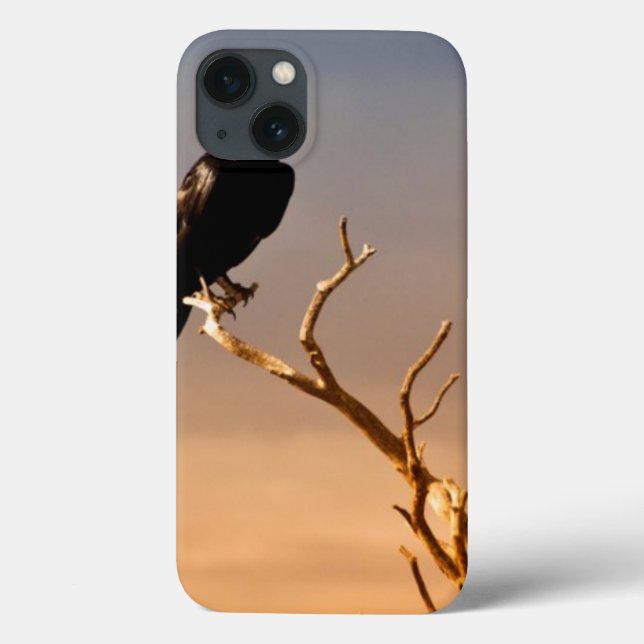 Raven em Rampas de Árvores Sunlit, Grand Canyon (Verso)