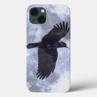 Raven Negro Voador Gótico, Céltico, Vida Selvagem
