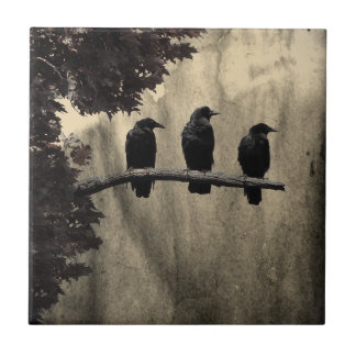 Ravens Perches