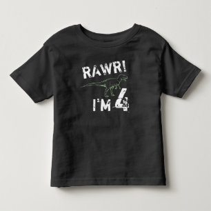 RAWR! Sou 4 - Camisa de aniversário do dinossauro