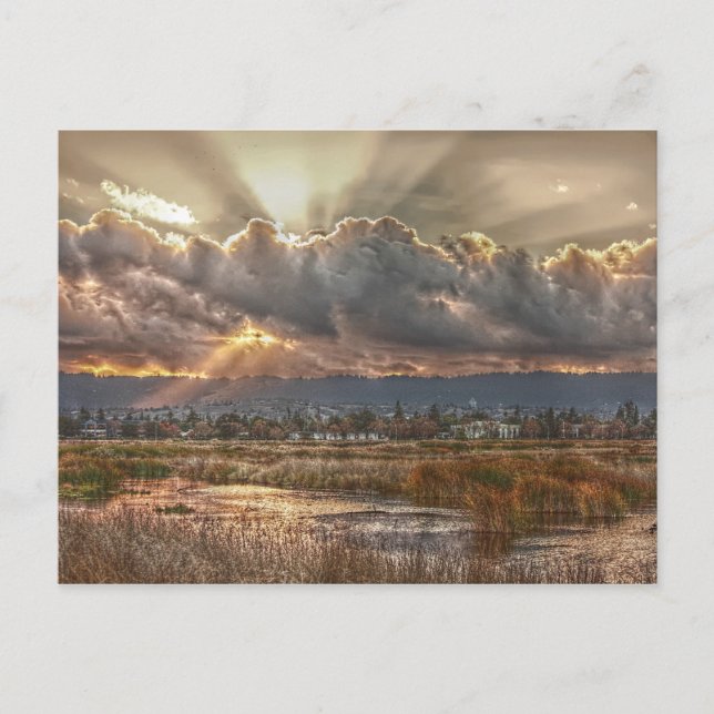 Rays no cartão postal do pôr do sol (Frente)