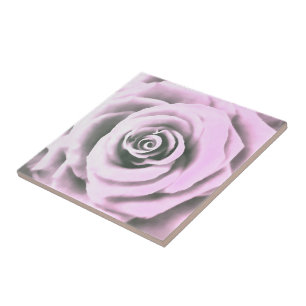 Rb Rosa Rosa Rosa Artístico