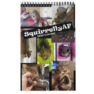 Reabilitação de Esquilo Calendário de Parede d