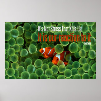 Reação ao Stress Motivational Poster