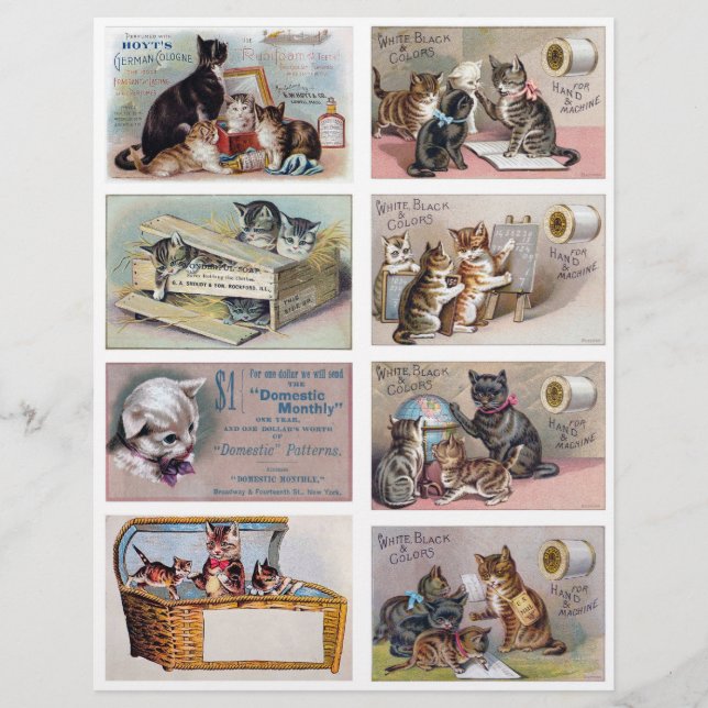 Real (not AI) Helena Maguire Inspired Trade Cards (Frente)