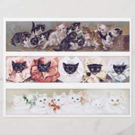 Real (not AI) Long Victorian Era Cat Illustrations