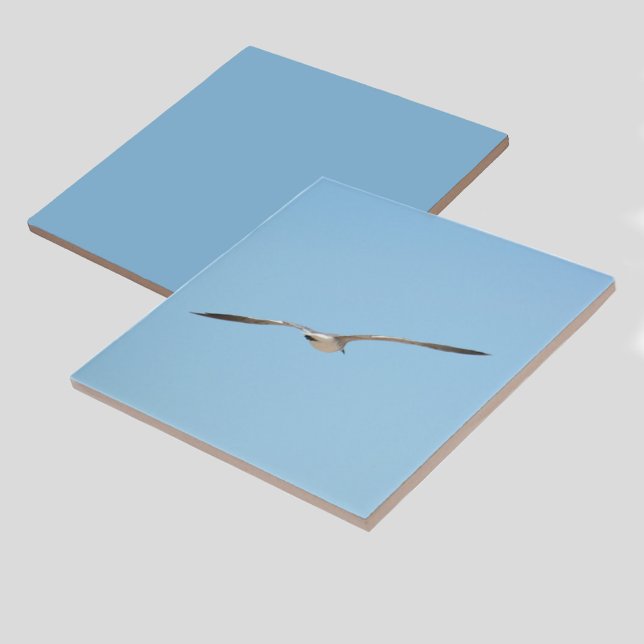 Real Tern na Costa do Céu Azul de Voo (1 of 7 coordinating bird in flight coastal sky blue ceramic tiles)